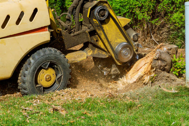 Grass Overseeding in Glenns Ferry, ID